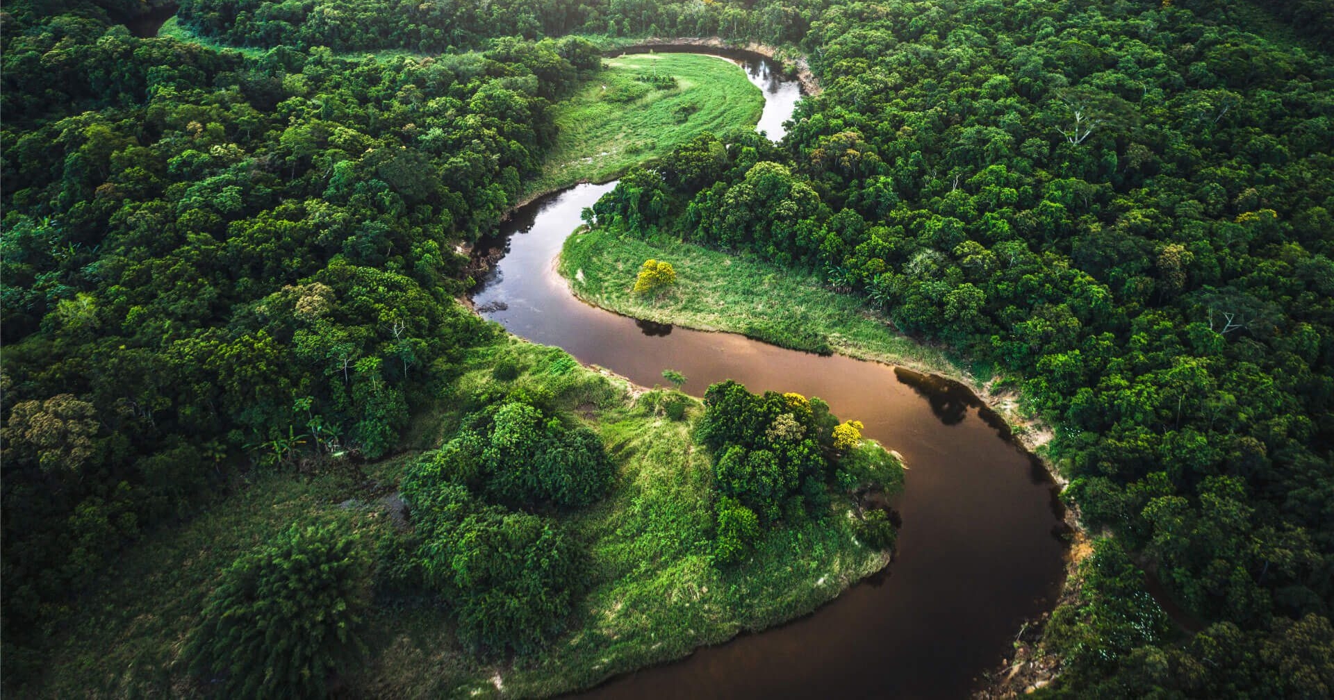 SD Guthrie International